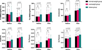 Bone Microarchitecture in Obese Postmenopausal Chinese Women: The Chinese Vertebral Osteoporosis Study (ChiVOS)